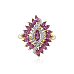 Bague en argent et Grenat Rhodolite