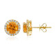 Boucles d'oreilles en or et Grenat mandarine (CIRARI)