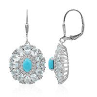 Boucles d'oreilles en argent et Turquoise arizona