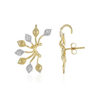 Boucles d'oreilles en argent et Zircon