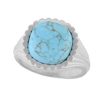 Bague en argent et Turquoise