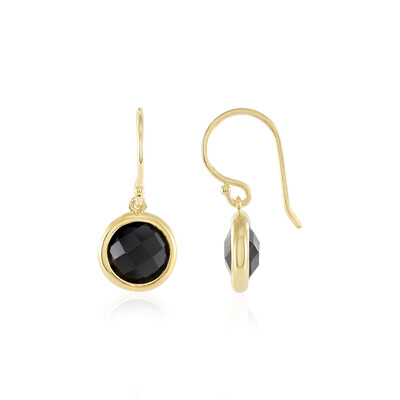 Boucles d'oreilles en argent et Onyx noir