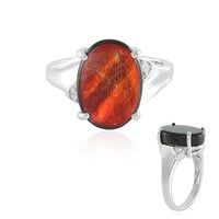 Bague en argent et Ammolite