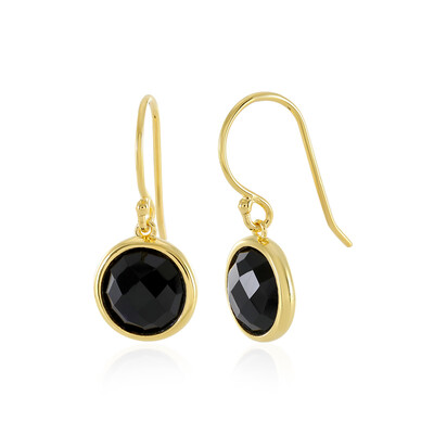 Boucles d'oreilles en argent et Onyx noir