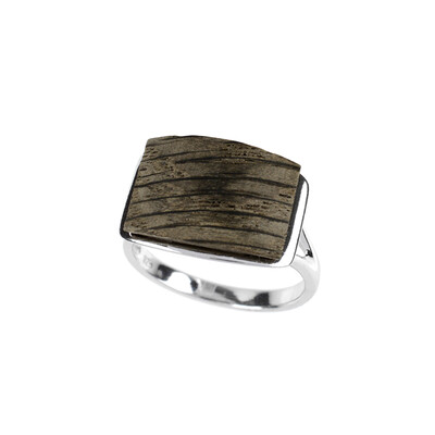 Bague en argent et Chêne des marais (dagen)