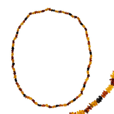 Collier et Ambre baltique