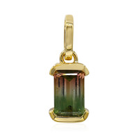 Pendentif en or et Tourmaline multicolore