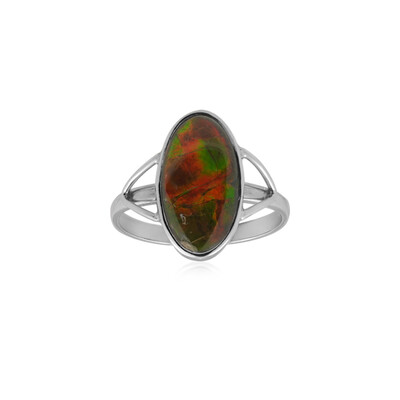 Bague en argent et Ammolite