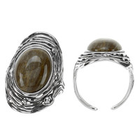 Bague en argent et Bois fossilisé