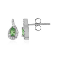 Boucles d'oreilles en argent et Grenat Tsavorite