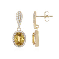 Boucles d'oreilles en or et Zircon jaune (Adela Gold)