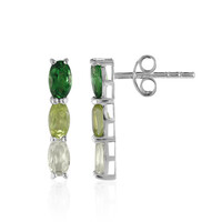 Boucles d'oreilles en argent et Grenat Tsavorite