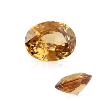  Zircon jaune 10,308 ct (gemme et boîte de collection)