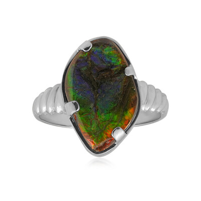 Bague en argent et Ammolite