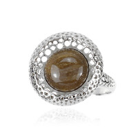 Bague en argent et Bois fossilisé