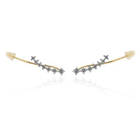 Boucles d'oreilles en or et Diamant SI1 (G)