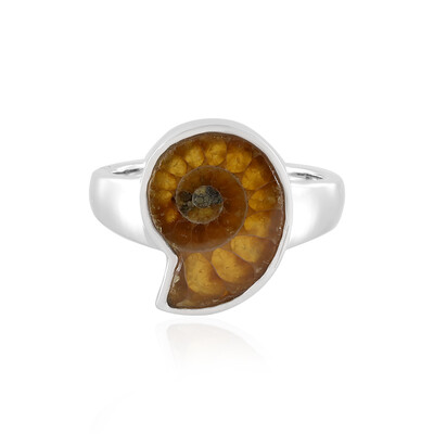 Bague en argent et Ammonite