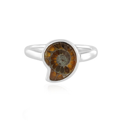 Bague en argent et Ammonite