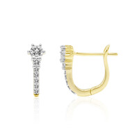 Boucles d'oreilles en or et Diamant IF (D)