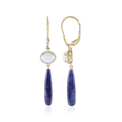 Boucles d'oreilles en argent et Sodalite