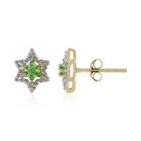 Boucles d'oreilles en or et Grenat Tsavorite (Adela Gold)