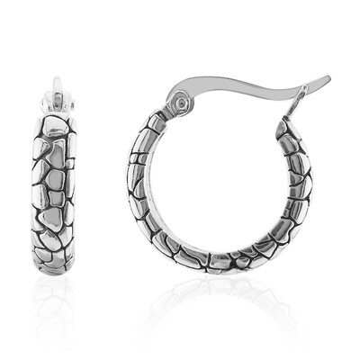 Boucles d'oreilles en argent