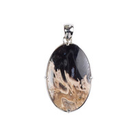 Pendentif en argent et Bois de palmier fossilisé