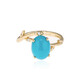 Bague en or et Turquoise arizona (Smithsonian)