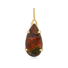 Pendentif en argent et Ammolite