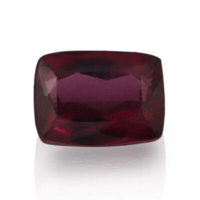 Gemme et Rubellite 1,085 ct