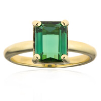 Bague en or et Tourmaline de Golconde (CUSTODANA)