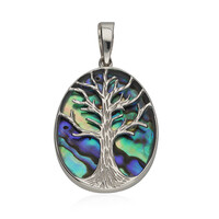 Pendentif en argent et Coquillage d'Abalone