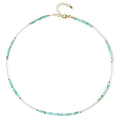 Collier en argent et Turquoise