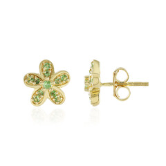 Boucles d'oreilles en argent et Grenat Tsavorite