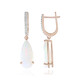 Boucles d'oreilles en or et Opale Welo AAA (SUHANA)