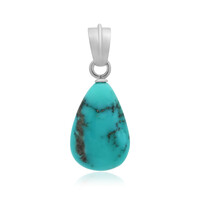 Pendentif en argent et Turquoise