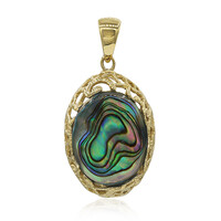 Pendentif en argent et Coquillage d'Abalone (Art of Nature)