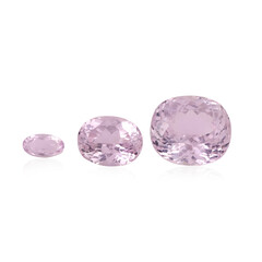  Kunzite 7,92 ct (gemme et boîte de collection)