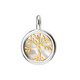 Pendentif en argent et Nacre (dagen)