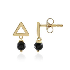 Boucles d'oreilles en argent et Onyx noir