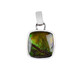 Pendentif en argent et Ammolite