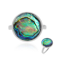 Bague en argent et Coquillage d'Abalone