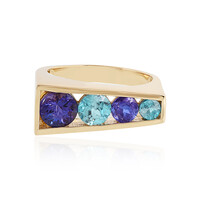 Bague en or et Tanzanite (Adela Gold)