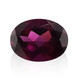 Grenat Rhodolite