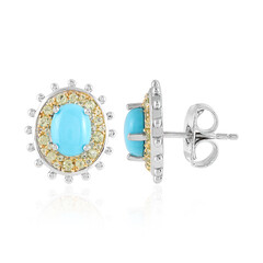 Boucles d'oreilles en argent et Turquoise Sleeping Beauty (Dallas Prince Designs)