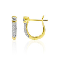 Boucles d'oreilles en or et Diamant IF (D)