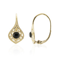 Boucles d'oreilles en argent et Onyx noir