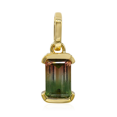 Pendentif en or et Tourmaline multicolore