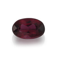  Rubellite 0,259 ct (gemme et boîte de collection)