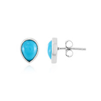 Boucles d'oreilles en argent et Turquoise arizona